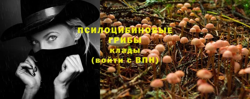 блэк спрут ССЫЛКА  Барабинск  Галлюциногенные грибы Magic Shrooms 